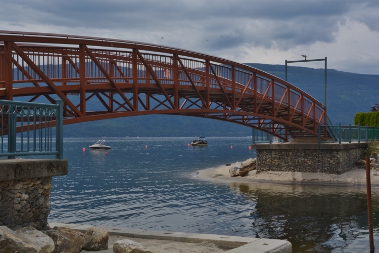 pedestrian bridge over water